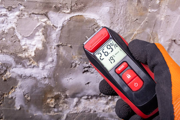 Best Office Mold Removal Services  in Booker, TX