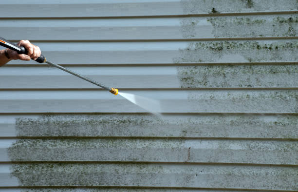 Best Attic Mold Removal  in Booker, TX
