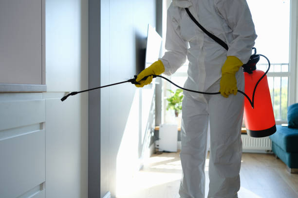 Best Attic Mold Removal  in Booker, TX