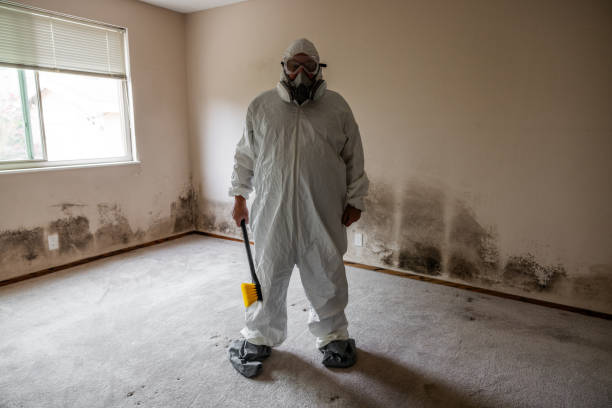 Best Mold Cleaning Services  in Booker, TX