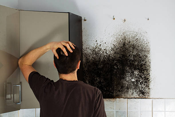 Attic Mold Removal in Booker, TX